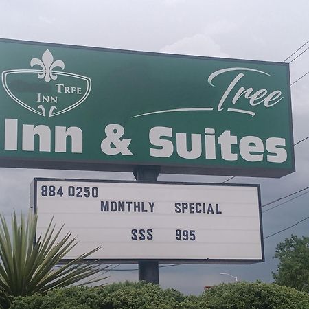 Tree Inn & Suites Albuquerque Esterno foto
