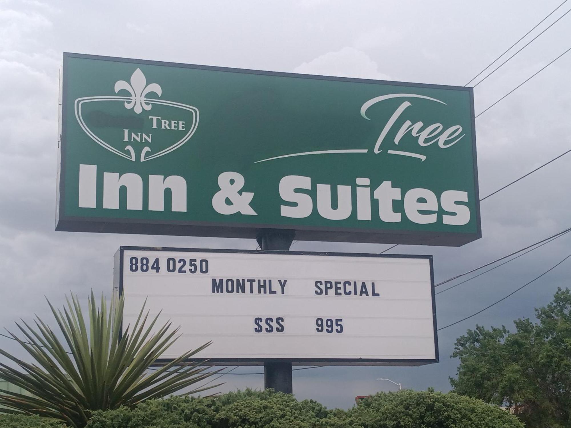 Tree Inn & Suites Albuquerque Esterno foto